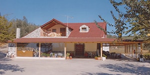 Ισόγειες επαύλεις